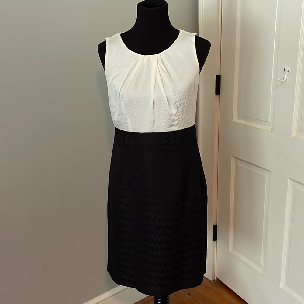 Ann Taylor Loft sheath dress